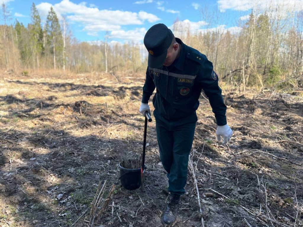 Акция МЧС «Дай лесу новае жыццё!»  Барановичи ГРОЧС